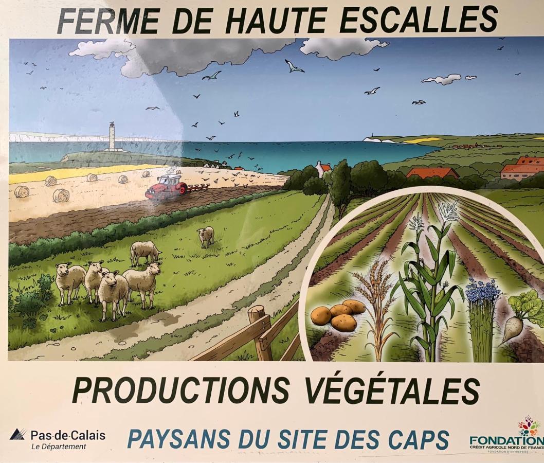 Ferme De La Haute-Escalles Eksteriør bilde