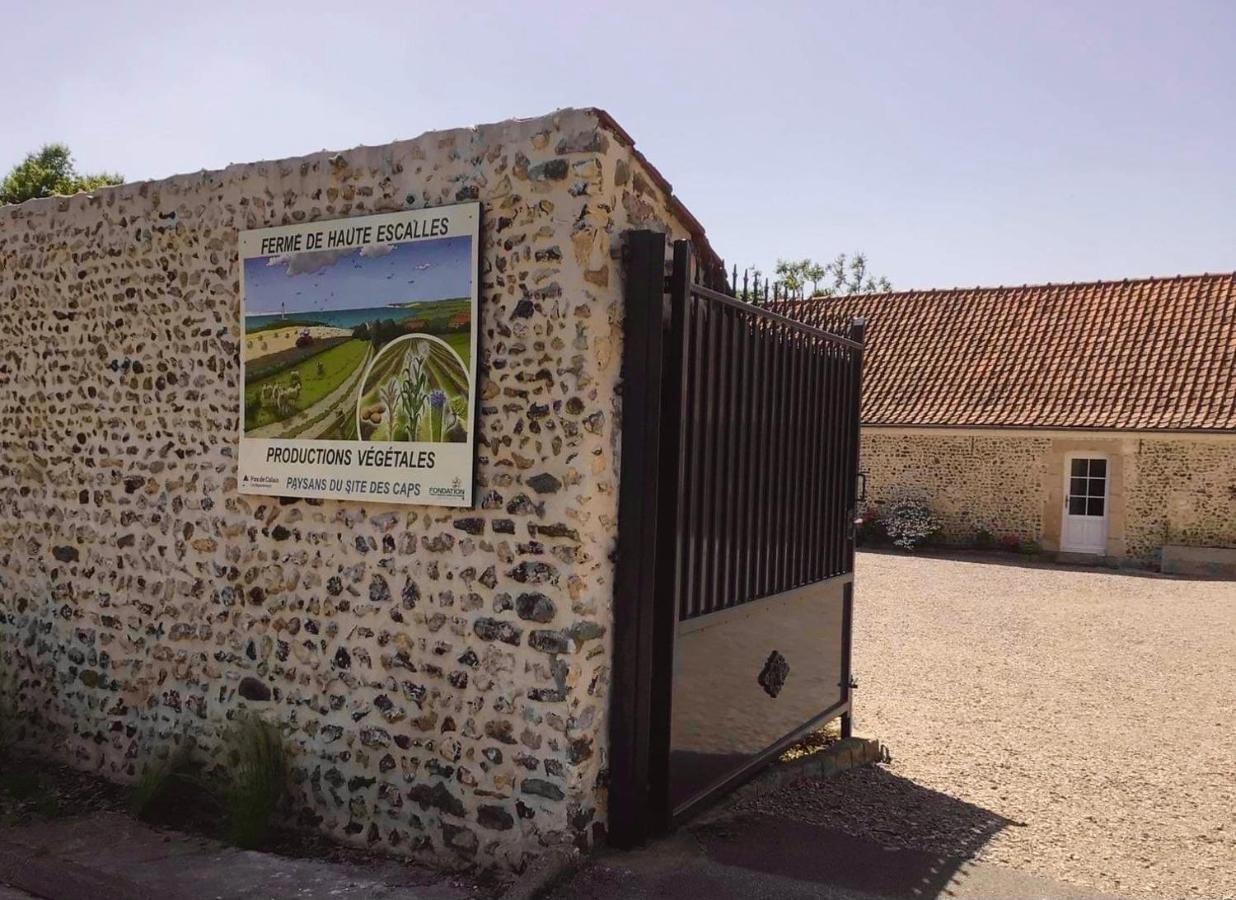 Ferme De La Haute-Escalles Eksteriør bilde